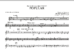 Popular von Stephen L. Schwartz (Download) 