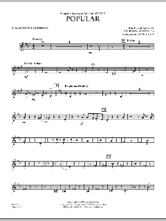 Popular von Stephen L. Schwartz (Download) 