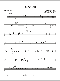 Popular von Stephen L. Schwartz (Download) 