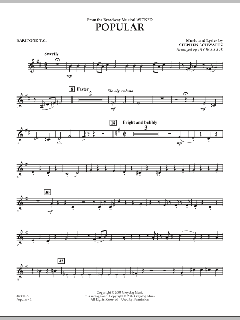 Popular von Stephen L. Schwartz (Download) 