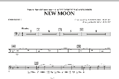 New Moon (The Meadow) von Alexandre Desplat (Download) 