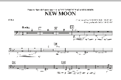 New Moon (The Meadow) von Alexandre Desplat (Download) 