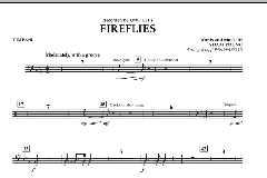 Fireflies von Adam Young (Download) 