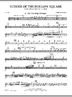 Echoes Of The Hollow Square von Johnnie Vinson (Download) 