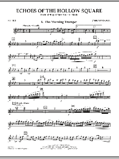 Echoes Of The Hollow Square von Johnnie Vinson (Download) 