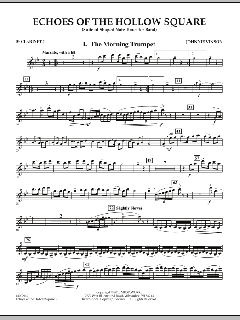 Echoes Of The Hollow Square von Johnnie Vinson (Download) 