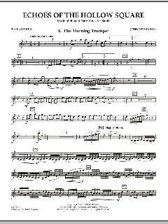 Echoes Of The Hollow Square von Johnnie Vinson (Download) 