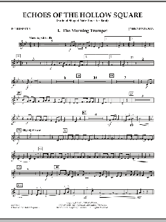 Echoes Of The Hollow Square von Johnnie Vinson (Download) 