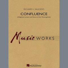 Confluence von Richard L. Saucedo (Download) 