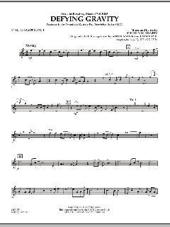 Defying Gravity von Stephen L. Schwartz (Download) 