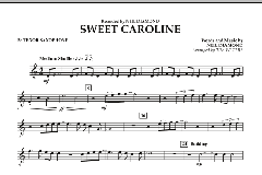 Sweet Caroline von Neil Diamond (Download) 