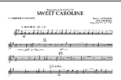 Sweet Caroline von Neil Diamond (Download) 