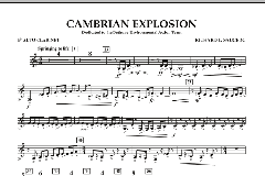 Cambrian Explosion von Richard L. Saucedo (Download) 