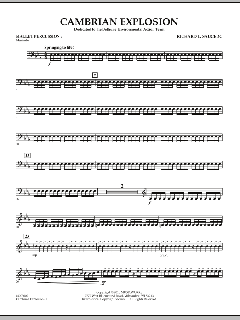 Cambrian Explosion von Richard L. Saucedo (Download) 