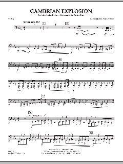 Cambrian Explosion von Richard L. Saucedo (Download) 