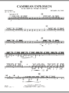 Cambrian Explosion von Richard L. Saucedo (Download) 