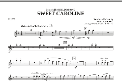 Sweet Caroline von Neil Diamond (Download) 
