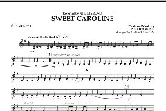 Sweet Caroline von Neil Diamond (Download) 