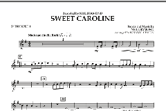 Sweet Caroline von Neil Diamond (Download) 