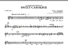 Sweet Caroline von Neil Diamond (Download) 