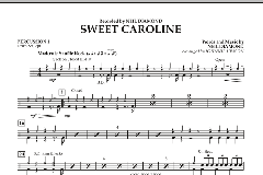 Sweet Caroline von Neil Diamond (Download) 
