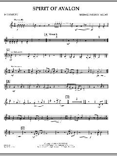 Spirit Of Avalon von Michael Sweeney (Download) 