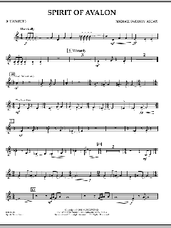 Spirit Of Avalon von Michael Sweeney (Download) 