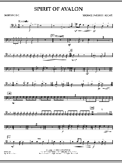 Spirit Of Avalon von Michael Sweeney (Download) 