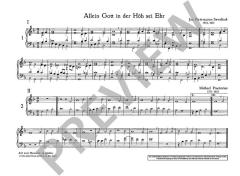 Orgelspiel im Kirchenjahr Band 2 im Alle Noten Shop kaufen