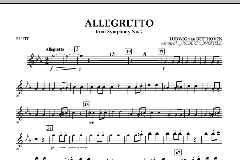 Allegretto aus: Symphonie Nr. 7 A-Dur op. 92 von Ludwig van Beethoven (Download) 