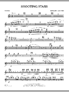 Shooting Stars von Richard L. Saucedo (Download) 