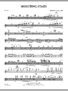 Shooting Stars von Richard L. Saucedo (Download) 