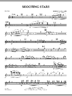 Shooting Stars von Richard L. Saucedo (Download) 