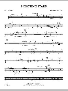 Shooting Stars von Richard L. Saucedo (Download) 