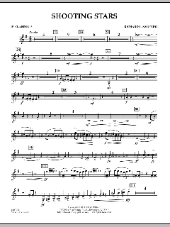 Shooting Stars von Richard L. Saucedo (Download) 