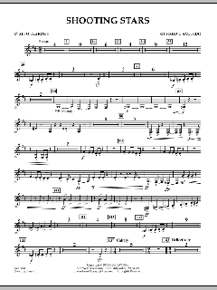 Shooting Stars von Richard L. Saucedo (Download) 