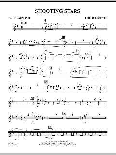 Shooting Stars von Richard L. Saucedo (Download) 