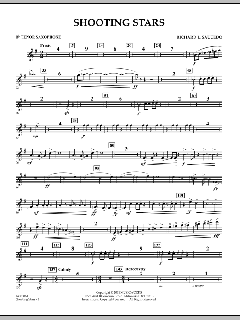 Shooting Stars von Richard L. Saucedo (Download) 