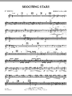 Shooting Stars von Richard L. Saucedo (Download) 