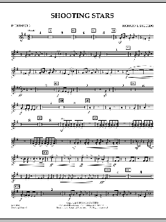 Shooting Stars von Richard L. Saucedo (Download) 