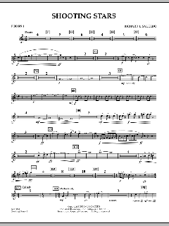 Shooting Stars von Richard L. Saucedo (Download) 