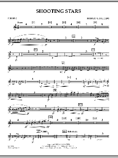 Shooting Stars von Richard L. Saucedo (Download) 