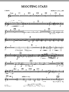 Shooting Stars von Richard L. Saucedo (Download) 