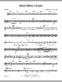 Shooting Stars von Richard L. Saucedo (Download) 