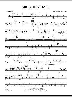 Shooting Stars von Richard L. Saucedo (Download) 