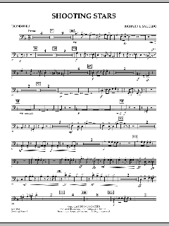 Shooting Stars von Richard L. Saucedo (Download) 