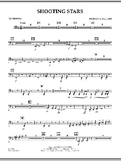 Shooting Stars von Richard L. Saucedo (Download) 