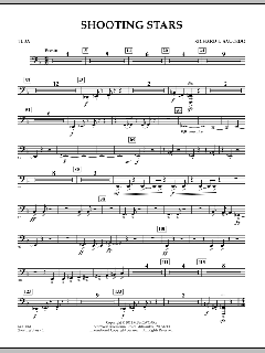 Shooting Stars von Richard L. Saucedo (Download) 