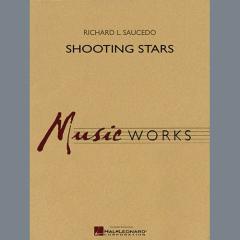 Shooting Stars von Richard L. Saucedo (Download) 