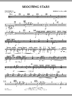 Shooting Stars von Richard L. Saucedo (Download) 